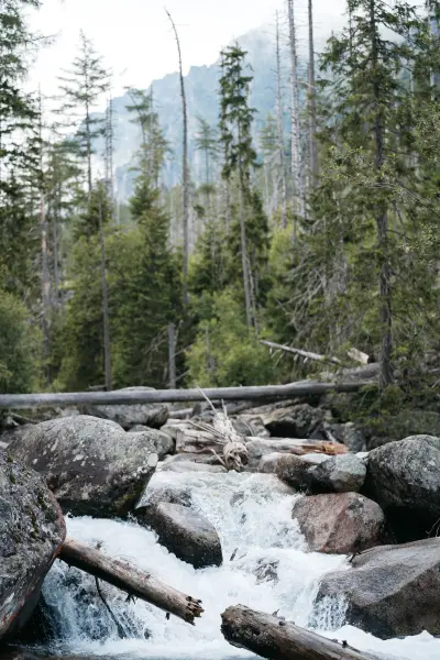 DaceEihvaldePhoto — Fotogrāfs, Dobele