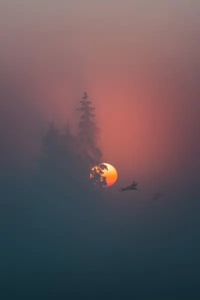 latvianphotographer — Photographer, Bauska