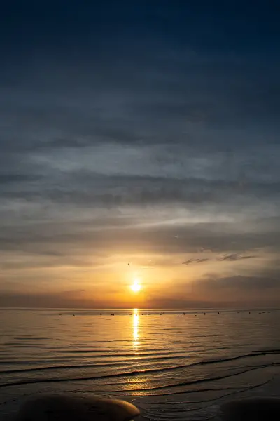 Dabas foto