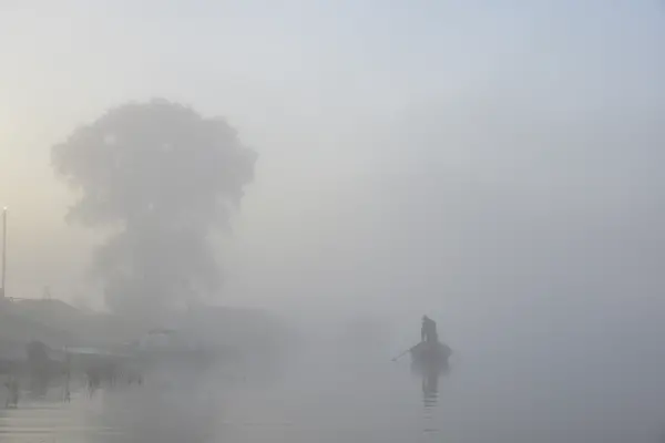 Dabas foto